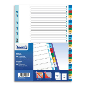DIVISORI NUMERICI PP A4 31 TACCHE COL. ASS. FAVORIT COD. 400132469