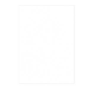 100 COPERTINE A4 CARTONCINO GROFFRATO SEMILPELLE 240G BIANCO FELLOWES COD. 5370104