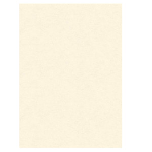 BLISTER 10 DIPLOMI PERGAMENA 297X420MM 160GR NEUTRO AVORIO KARTOS COD. OD14618200S10