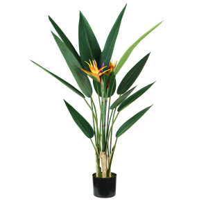 PIANTA ORNAMENTALE STERLIZIA 12 FOGLIE E 2 FIORI COD. P2150598