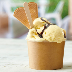 1000 COPPETTE GELATO 240ML IN CARTA LEONE COD. H0803