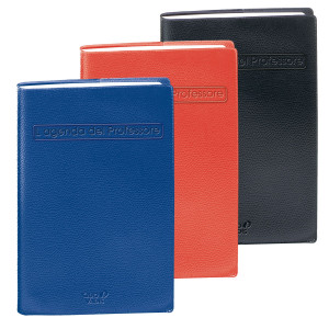 AGENDA DEL PROFESSORE 21X27CM IMPALA COLORI ASSORTITI 2022 QUO VADIS COD. 626012Q