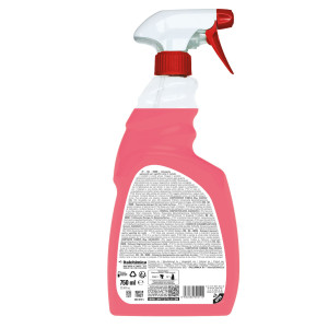 DETERGENTE SGRASSANTE PER SUPERFICI S6 INOX 750ML SANITEC COD. 1875-S