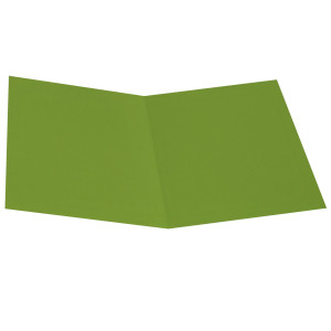 PACK 50 CARTELLINE SEMPLICI VERDE NILO IN BRISTOL 200G STARLINE COD. OD0113BLXXXAJ18