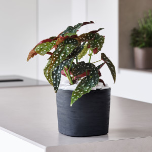 VASO QUADRATO CAPRI 13LT SABBIA TERAPLAST COD. 38711029406
