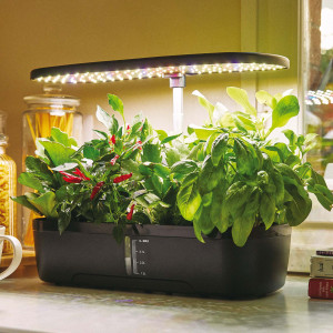 ORTO IDROPONICO INDOOR 20X18X40 CM VERDEMAX COD. V002334