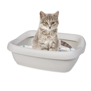 TOILETTE CON CORNICE GRANDE PER GATTI COD. 59487