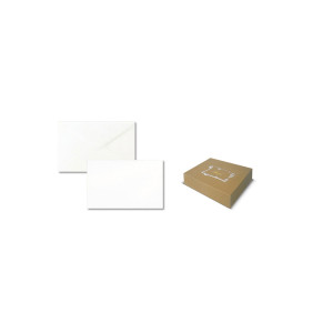 SCATOLA 100BIGLIETTI+100BUSTE F.TO 4 75X112MM BRISTOL SADOCH COD. 8104