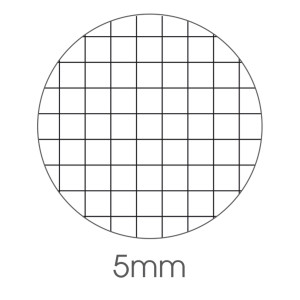 MAXIQUADERNO A4 36FG+2 100GR 5MM BE MORE URBAN 2024 BM COD. 0122291 CONFEZIONE DA 10