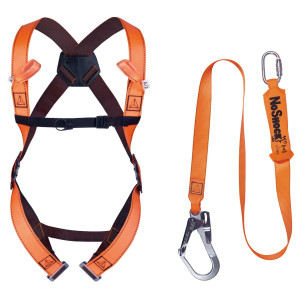 KIT ANTICADUTA DI PRIMO LIVELLO ELARA190V PER PONTEGGIATORI S/M/L DELTAPLUS COD. ELARA190V2GT