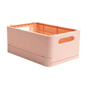 SCATOLA PIEGHEVOLE THE SMART CASE MIDI SKANDI NUDE EXACOMPTA COD. 27131D