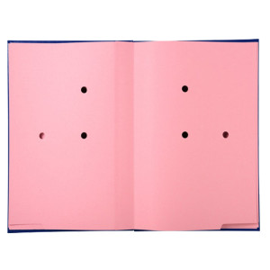 LIBRO FIRMA 20 PAGINE BLU 24X35CM 57022E EXACOMPTA COD. 57022E