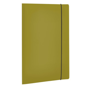 CARTELLA 3 LEMBI HOLOS IN PP VERDE 25X35CM FELLOWES COD. 100102105