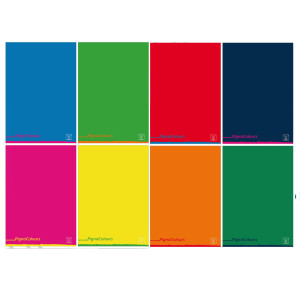 MAXIQUADERNO A4 80GR 40+2FG 1 RIGO C/MARGINE PIGNA COLOURS COD. 02308750C CONFEZIONE DA 10