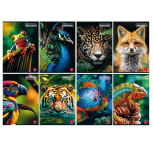 MAXIQUADERNO A4 80GR 40+2FG 4MM C/MARGINE ANIMAL PIGNA COD. 02330134F CONFEZIONE DA 10