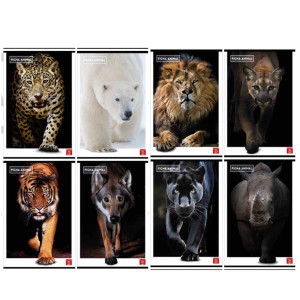 MAXIQUADERNO A4 80GR 40+2FG 4MM ANIMAL PIGNA COD. 02333714M CONFEZIONE DA 10