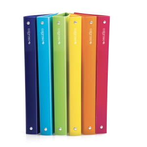RACCOGLITORE COLOROSA 4R D15MM COL.ASS 245X307MM COD. 362815.S1 CONFEZIONE DA 24