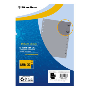 DIVISORI MENSILI (GEN-DIC) IN PP 12 TACCHE F.TO A4 21X29,7CM GRIGIO STARLINE COD. 2000015C5-STL