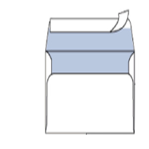 BUSTE PACK/25 0510 12X18 - CF. DA 25
