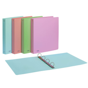 RACCOGLITORE PPL PSTEL COLORI ASS. 22X30MM 4R DORSO 30 FAVORIT COD. 400115585