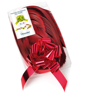 30 NASTRI STRIP METAL 6870 31MM-D13CM COLORE ROSSO 07 BRIZZOLARI COD. 00314007