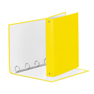 RACCOGLITORE MEETING 30 A4 4R IN PPL GIALLO VIVIDA ESSELTE COD. 395792930