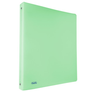 RACCOGLITORE PPL PASTEL VERDE 22X30MM 4R DORSO 30 FAVORIT COD. 400116643