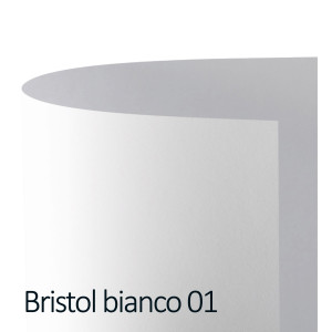 CONF.10 CARTONCINO BRISTOL COLOR 200GR 100X70CM BIANCO 01 FAVINI COD. A3500A1