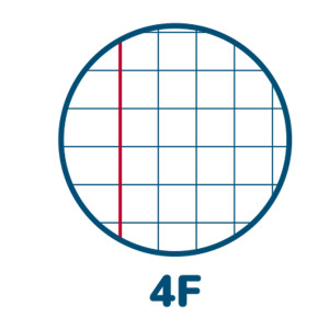 MAXIQUADERNO A4 80GR 40+2FG 4MM C/MARGINE CUCCIOLI PIGNA COD. 02333754F CONFEZIONE DA 10