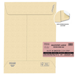 250 BUSTE AVANA 230X330X40MM 100GR C/SOFFIETTO E STRIP LARGEMAIL PIGNA COD. 065524133