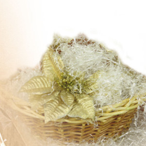 PAGLIETTA TRASPARENTE 200GR COD. E-480TN