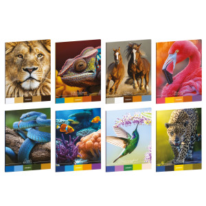 MAXIQUADERNO A4 20FG+1 80GR 5MM ANIMAL PALETTE BLASETTI COD. 8948 CONFEZIONE DA 10