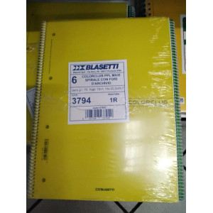 QUADERNO PPL COLORCLUB A4 SP.C/FORI 1R3794 - CF. DA 6