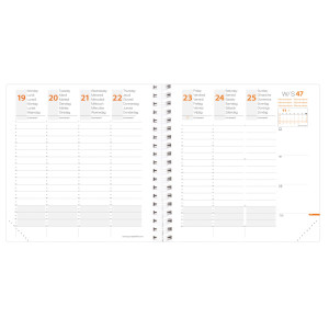 AGENDA SETTIMANALE TIMELIFE 16X16CM ARGENTO 2026 QUO VADIS COD. 540132Q