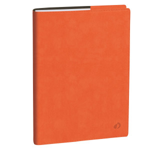 AGENDA DEL PROFESSORE 21X27CM ROMA ARANCIONE 2026 QUO VADIS COD. 626110Q