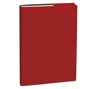 AGENDA DEL PROFESSORE 21X27CM ROMA ROSSO 2026 QUO VADIS COD. 626112Q