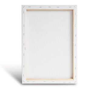 TELA CON TELAIO 25X35CM PRIMO COD. 461TE25X35