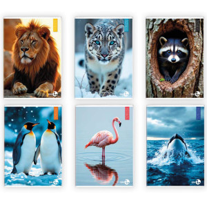 MAXIQUADERNO A4 40FG+2 80GR 1RIGO C/MARGINE ANIMAL BM COD. 0110377 CONFEZIONE DA 10