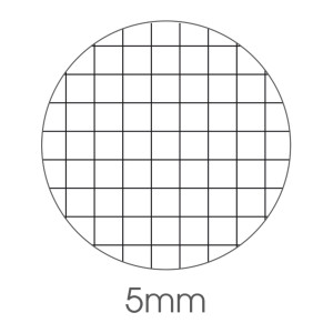 MAXIQUADERNO ALTA FOGLIAZIONE A4 48FG+2 100GR 5MM BE MORE FLOR BM COD. 0123259 CONFEZIONE DA 10