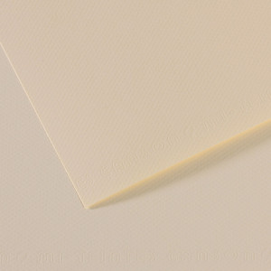FOGLIO MI-TEINTES A4 CM 160 GR. 110 GIGLIO COD. C31032S006 CONFEZIONE DA 25