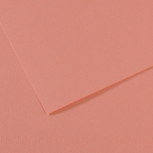 FOGLIO MI-TEINTES A4 CM 160 GR. 352 ROSA SCURO COD. C31032S016 CONFEZIONE DA 25