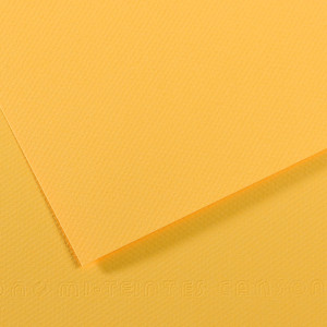FOGLIO MI-TEINTES A4 CM 160 GR. 400 BOTTON D'ORO COD. C31032S018 CONFEZIONE DA 25