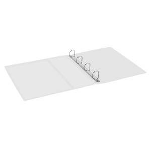 RACCOGLITORE PERSONALIZZABILE VISION 22 X 30 CM 4 ANELLI A D 50 MM DORSO 7 CM NE COD. 400198987