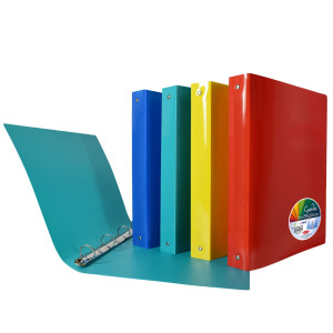 RACCOGLITORE GARDA  22 X 30 CM  4 ANELLI TONDI 25 MM  PP  COLORI ASSORTITI  PLAS COD. P0363090 CONFEZIONE DA 12
