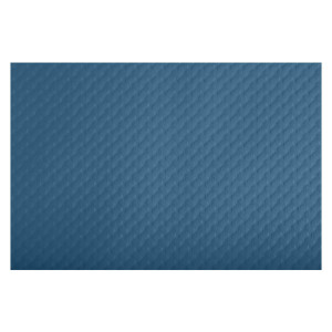 CONF 500 TOVAGLIETTE MONOUSO TISS LACK 30X40CM CARTA BLU PACIFICO PRO NAPPE COD. 304004I