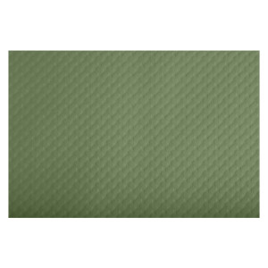 CONF 500 TOVAGLIETTE MONOUSO TISS LACK 30X40CM CARTA VERDE OLIVA PRO NAPPE COD. 304057I